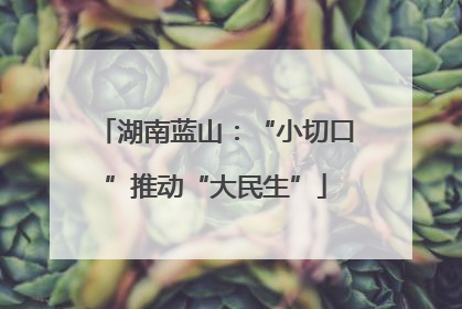 湖南蓝山：“小切口”推动“大民生”